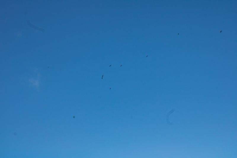 ライフスタイル・ジャパン - Image 10